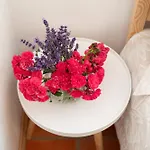 Apartment Apartma Oljka Pomjan *