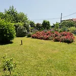 Apartma Oljka Pomjan *