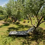 Apartma Oljka Pomjan