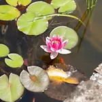 Apartment Apartma Oljka Pomjan