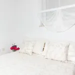 Apartma Oljka Pomjan Apartment Smarje (Koper)