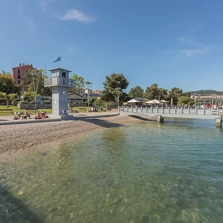 Apartma Oljka Pomjan Lägenhet *