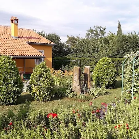 Lägenhet Apartma Oljka Pomjan
