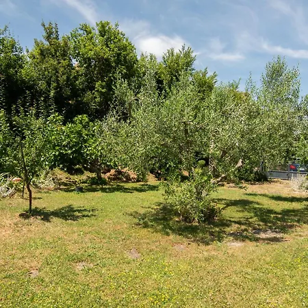 Apartma Oljka Pomjan Smarje (Koper)