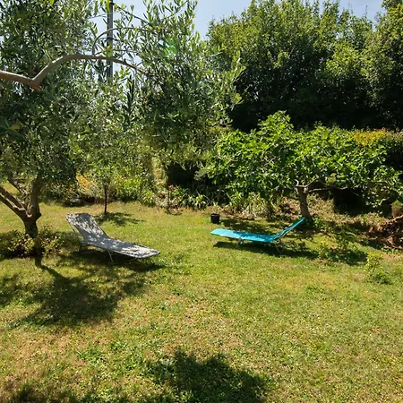 Apartma Oljka Pomjan Apartment *