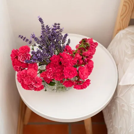 Lägenhet Apartma Oljka Pomjan *