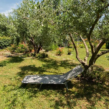 Apartma Oljka Pomjan