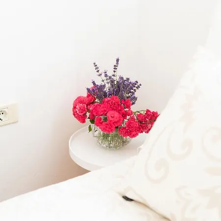 Apartma Oljka Pomjan