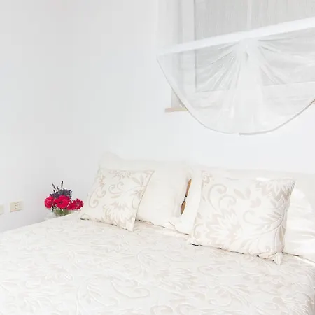 Apartma Oljka Pomjan Apartment Smarje (Koper)