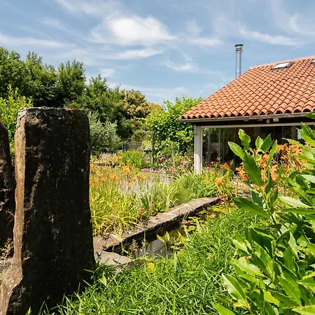 Apartma Oljka Pomjan Šmarje